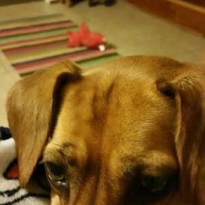 Meet your Posher, Julie